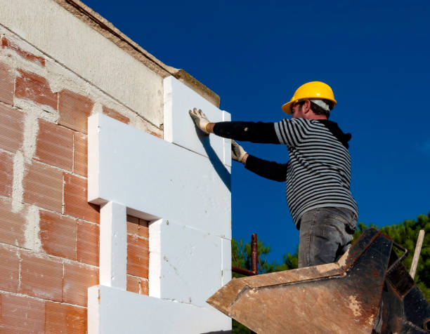 Best Cellulose Insulation  in Prospect, OH