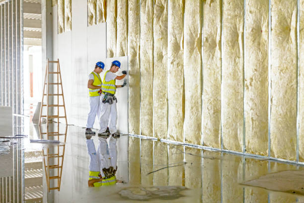 Professional Insulation Contractor in Prospect, OH